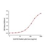 Standard Curve - Recombinant Human GC-C Protein (C-terminal His and Avi Tag) (A330687) - Antibodies.com