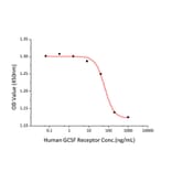 Cell Viability Assay - Recombinant Human GCSF Receptor Protein (C-terminal His Tag) (A330690) - Antibodies.com
