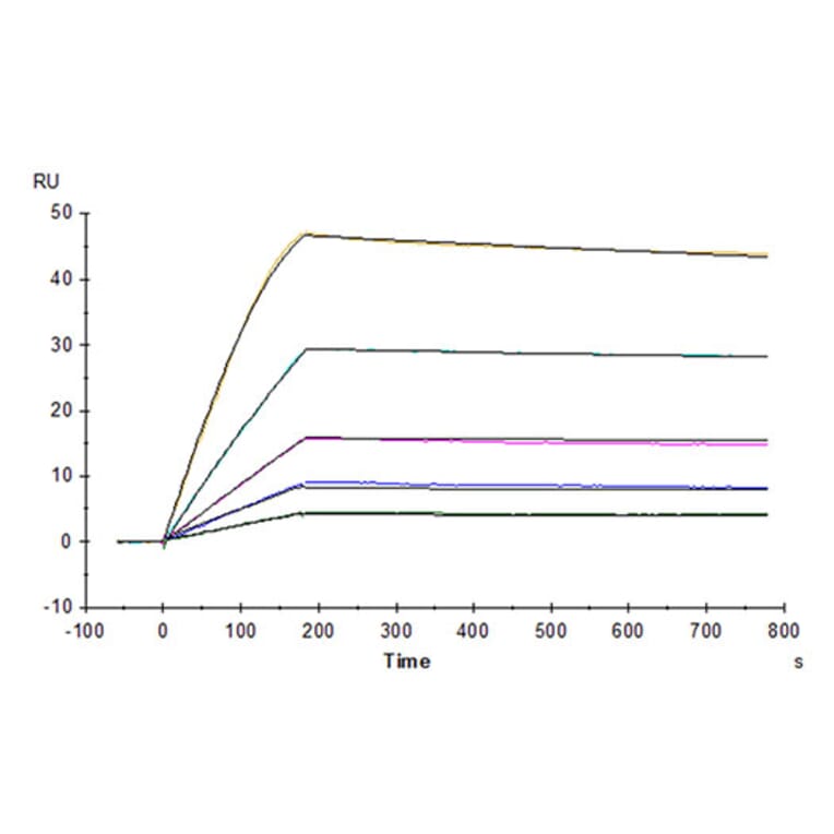 SPR Assay - Recombinant Human GDF15 Protein (N-terminal His Tag) (A330692) - Antibodies.com