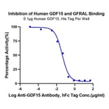 Functional Assay - Recombinant Human GDF15 Protein (N-terminal His Tag) (A330692) - Antibodies.com