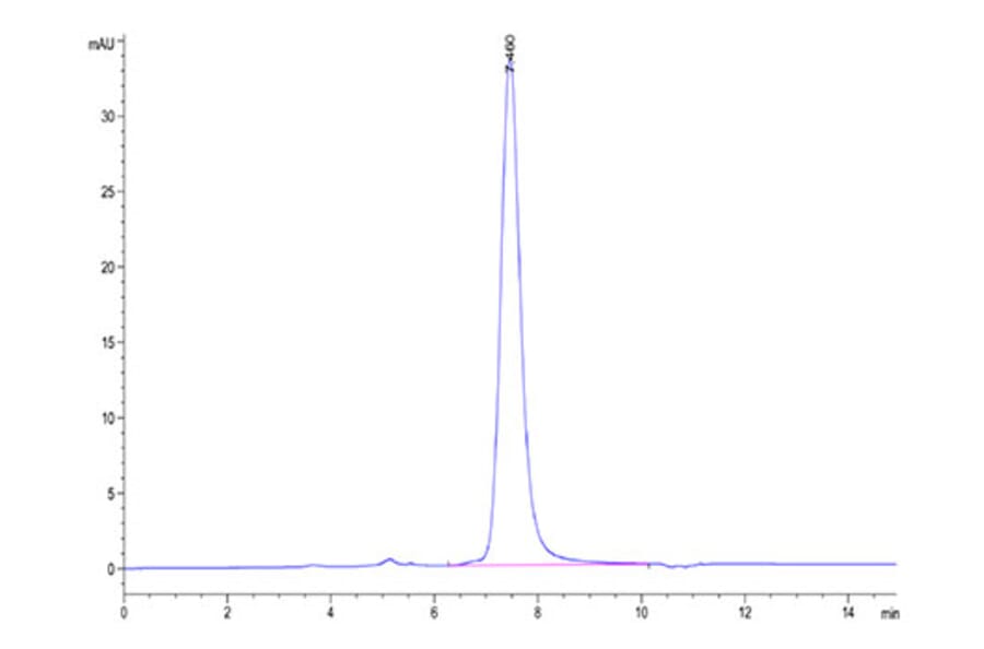 SEC-HPLC - Recombinant Human GFRAL Protein (C-terminal Human Fc Tag) (A330700) - Antibodies.com
