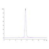 SEC-HPLC - Recombinant Human GFRAL Protein (C-terminal Human Fc Tag) (A330700) - Antibodies.com
