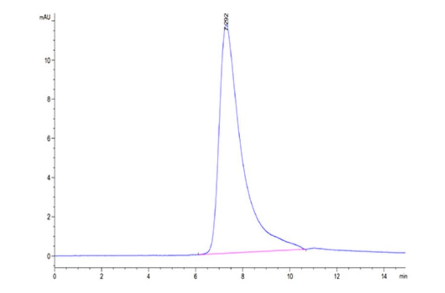 SEC-HPLC - Recombinant Human GFRAL Protein (C-terminal His and Avi Tag) (A330701) - Antibodies.com
