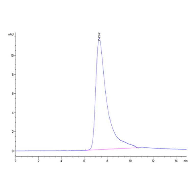 SEC-HPLC - Recombinant Human GFRAL Protein (C-terminal His and Avi Tag) (A330701) - Antibodies.com