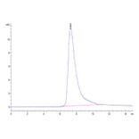 SEC-HPLC - Recombinant Human GFRAL Protein (C-terminal His and Avi Tag) (A330701) - Antibodies.com