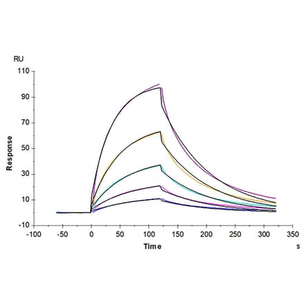 SPR Assay - Recombinant Human Glycophorin A Protein (C-terminal Human Fc Tag) (A330708) - Antibodies.com