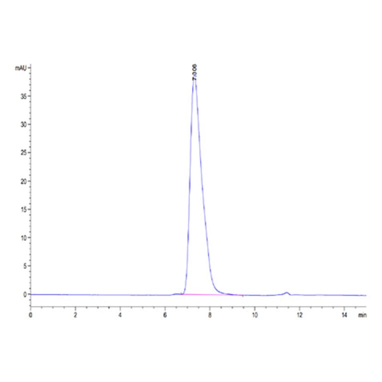 SEC-HPLC - Recombinant Human Glycophorin A Protein (C-terminal Human Fc Tag) (A330708) - Antibodies.com