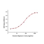 Standard Curve - Recombinant Human Glypican 1 Protein (C-terminal His Tag) (A330709) - Antibodies.com