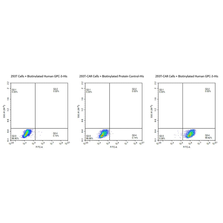 Flow Cytometry - Recombinant Human Glypican 3 Protein (Biotin) (C-terminal His and Avi Tag) (A330710) - Antibodies.com