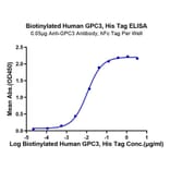 Standard Curve - Recombinant Human Glypican 3 Protein (Biotin) (C-terminal His and Avi Tag) (A330710) - Antibodies.com