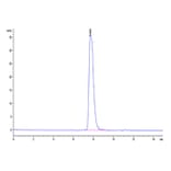 SEC-HPLC - Recombinant Human GPA33 Protein (Biotin) (C-terminal His and Avi Tag) (A330717) - Antibodies.com