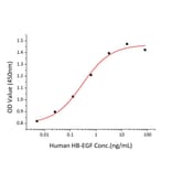 Proliferation Assay - Recombinant Human HBEGF/DTR Protein (C-terminal His Tag) (A330727) - Antibodies.com