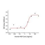 Standard Curve - Recombinant Human HGF Protein (C-terminal His Tag) (A330734) - Antibodies.com