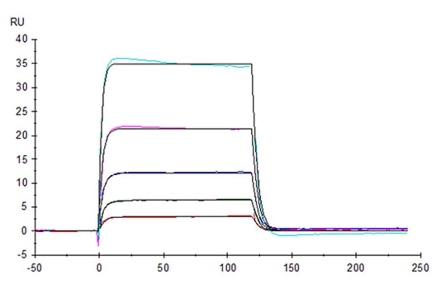 SPR Assay - Recombinant Human HHLA2 Protein (C-terminal Human Fc Tag) (A330736) - Antibodies.com