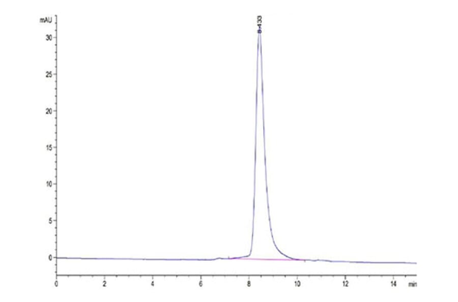 SEC-HPLC - Recombinant Human HHLA2 Protein (C-terminal His Tag) (A330737) - Antibodies.com