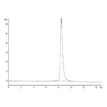 SEC-HPLC - Recombinant Human HHLA2 Protein (C-terminal His Tag) (A330737) - Antibodies.com