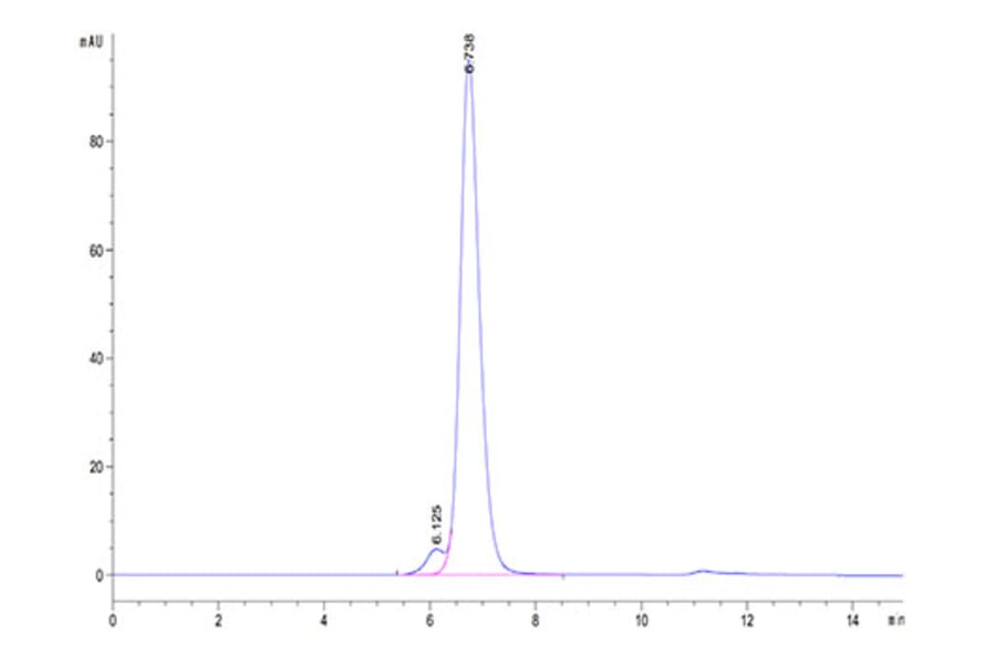 SEC-HPLC - Recombinant Rhesus macaque HLA-G Protein (C-terminal His and Avi Tag) (A330741) - Antibodies.com