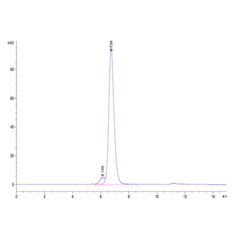 SEC-HPLC - Recombinant Rhesus macaque HLA-G Protein (C-terminal His and Avi Tag) (A330741) - Antibodies.com