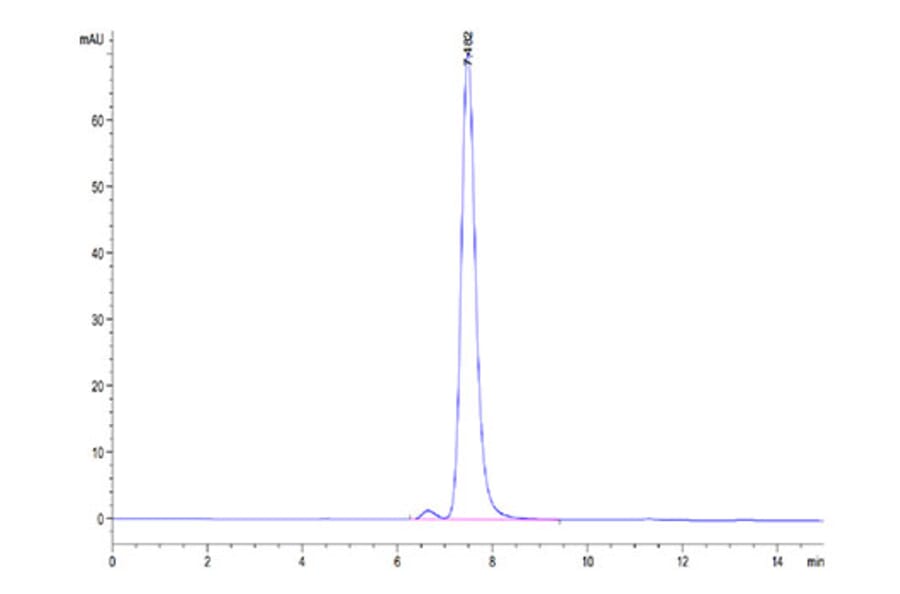 SEC-HPLC - Recombinant Human HLA-G Protein (C-terminal His and Avi Tag) (A330742) - Antibodies.com