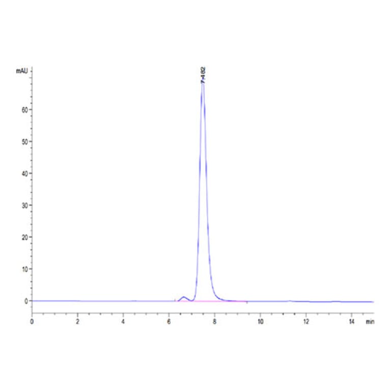SEC-HPLC - Recombinant Human HLA-G Protein (C-terminal His and Avi Tag) (A330742) - Antibodies.com