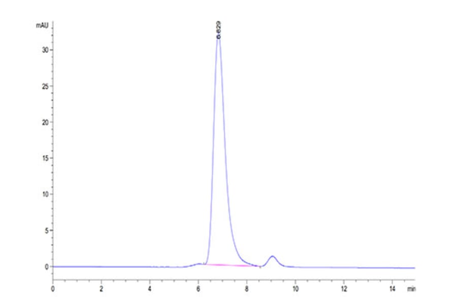SEC-HPLC - Recombinant Human HLA-G Protein (C-terminal His and Avi Tag) (A330743) - Antibodies.com
