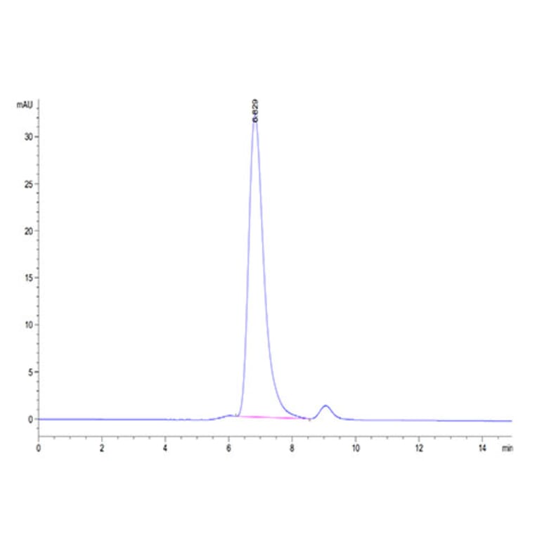 SEC-HPLC - Recombinant Human HLA-G Protein (C-terminal His and Avi Tag) (A330743) - Antibodies.com