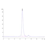 SEC-HPLC - Recombinant Human HLA-G Protein (C-terminal His and Avi Tag) (A330743) - Antibodies.com