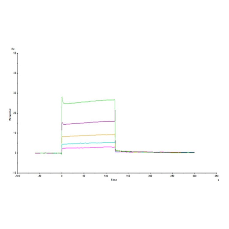 SPR Assay - Recombinant Human HLA-G Protein (C-terminal His and Avi Tag) (A330743) - Antibodies.com