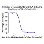 Functional Assay - Recombinant Human HLA-G Protein (C-terminal His and Avi Tag) (A330743) - Antibodies.com