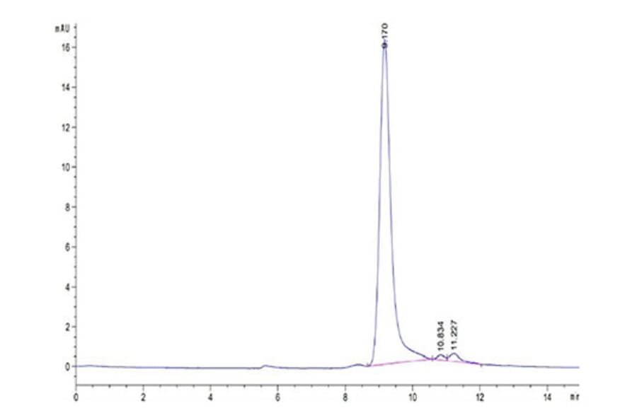SEC-HPLC - Recombinant Human IFN gamma Protein (Biotin) (C-terminal His and Avi Tag) (A330761) - Antibodies.com