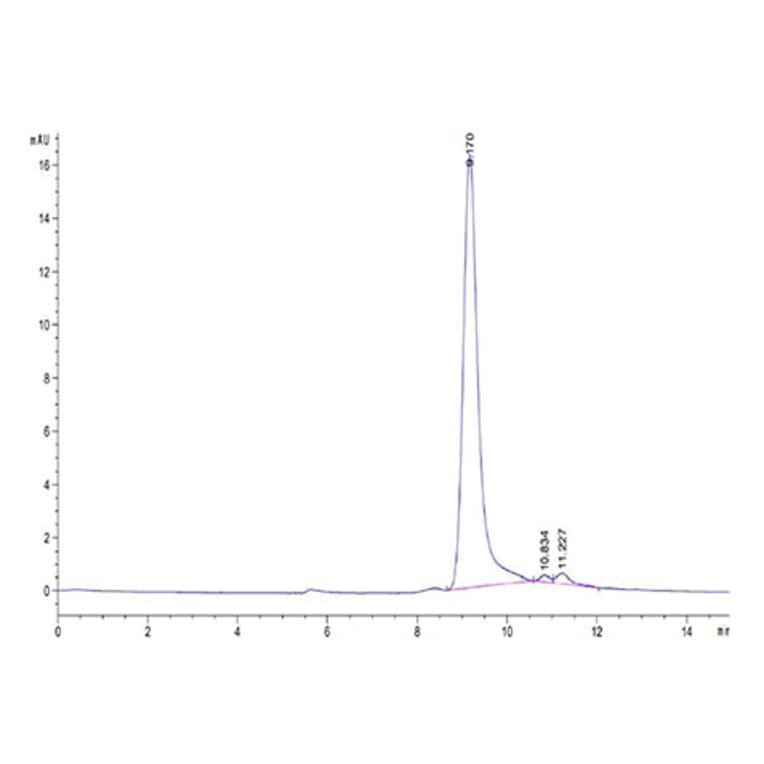 SEC-HPLC - Recombinant Human IFN gamma Protein (Biotin) (C-terminal His and Avi Tag) (A330761) - Antibodies.com