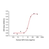 Proliferation Assay - Recombinant Human IGF1 Protein (C-terminal Human Fc and His Tag) (A330770) - Antibodies.com