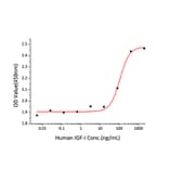 Proliferation Assay - Recombinant Human IGF1 Protein (A330771) - Antibodies.com