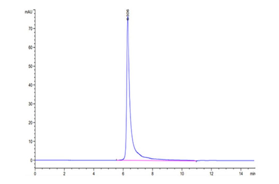 SEC-HPLC - Recombinant Human IGF1R Protein (Biotin) (C-terminal His and Avi Tag) (A330773) - Antibodies.com