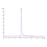 SEC-HPLC - Recombinant Human IGF1R Protein (Biotin) (C-terminal His and Avi Tag) (A330773) - Antibodies.com