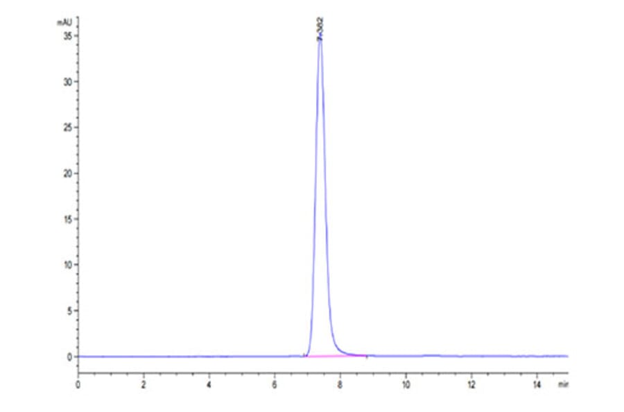 SEC-HPLC - Recombinant Human IGF2R Protein (C-terminal His and Avi Tag) (A330777) - Antibodies.com