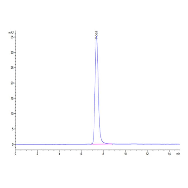 SEC-HPLC - Recombinant Human IGF2R Protein (C-terminal His and Avi Tag) (A330777) - Antibodies.com