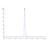 SEC-HPLC - Recombinant Human IGF2R Protein (C-terminal His and Avi Tag) (A330777) - Antibodies.com