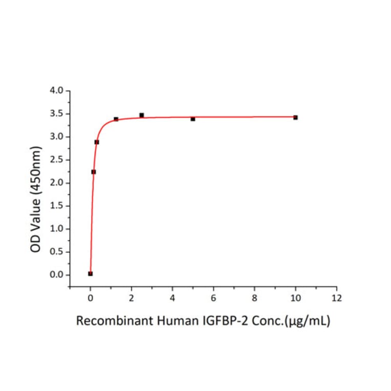 Standard Curve - Recombinant Human IGFBP2 Protein (C-terminal His Tag) (A330779) - Antibodies.com