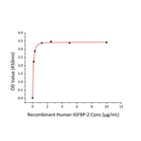 Standard Curve - Recombinant Human IGFBP2 Protein (C-terminal His Tag) (A330779) - Antibodies.com