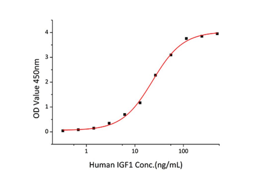 Standard Curve - Recombinant Human IGFBP3 Protein (C-terminal His Tag) (A330780) - Antibodies.com