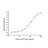 Standard Curve - Recombinant Human IGFBP4 Protein (C-terminal His Tag) (A330781) - Antibodies.com