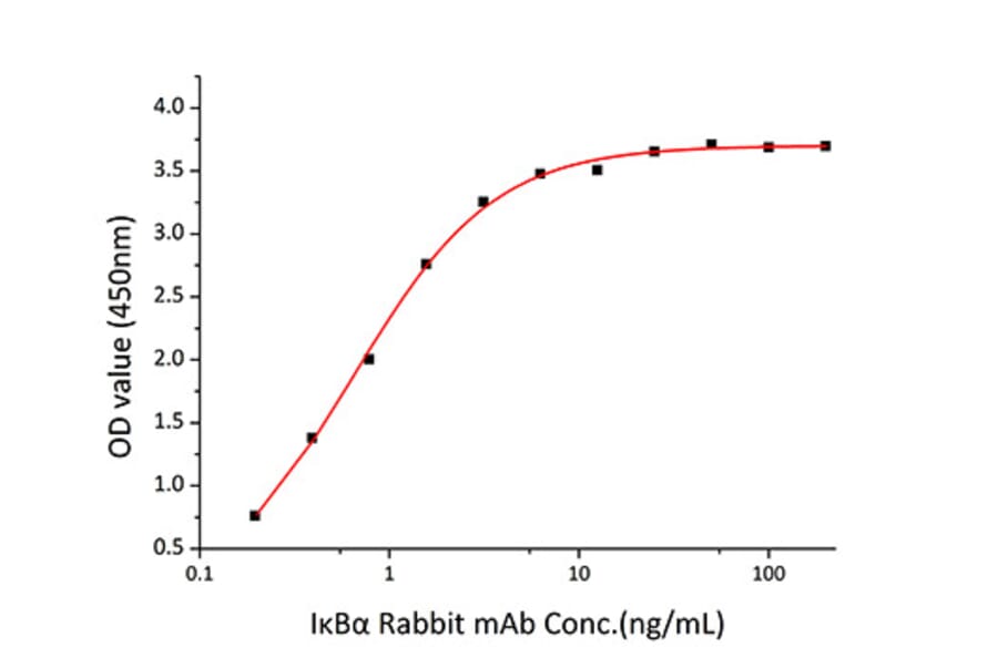 Standard Curve - Recombinant Human IkB alpha Protein (A330790) - Antibodies.com
