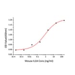 Proliferation Assay - Recombinant Mouse IL-1 alpha Protein (C-terminal His Tag) (A330792) - Antibodies.com