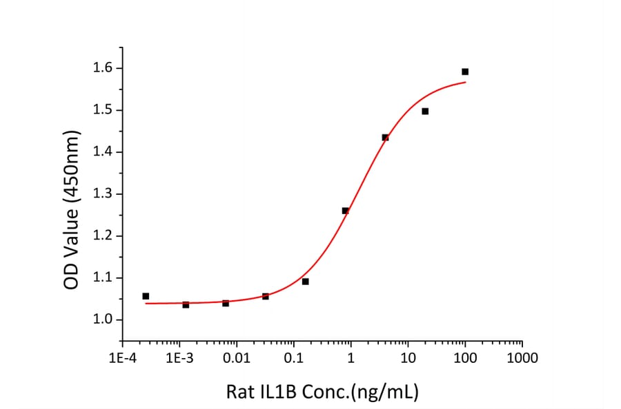 Proliferation Assay - Recombinant Rat IL-1 beta Protein (C-terminal His Tag) (A330796) - Antibodies.com