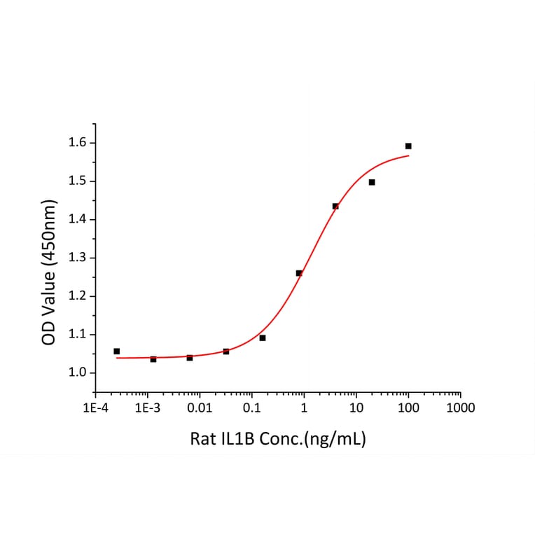 Proliferation Assay - Recombinant Rat IL-1 beta Protein (C-terminal His Tag) (A330796) - Antibodies.com