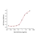 Proliferation Assay - Recombinant Rat IL-1 beta Protein (C-terminal His Tag) (A330796) - Antibodies.com