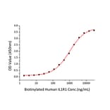 Standard Curve - Recombinant Human IL-1 beta Protein (C-terminal His Tag) (A330797) - Antibodies.com