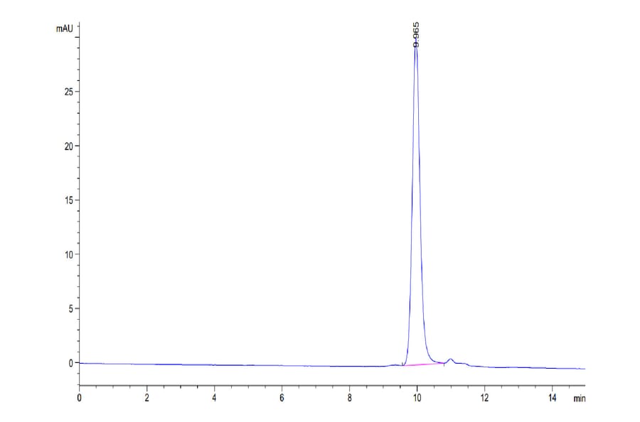 SEC-HPLC - Recombinant Human IL-1 beta Protein (Biotin) (C-terminal His and Avi Tag) (A330798) - Antibodies.com