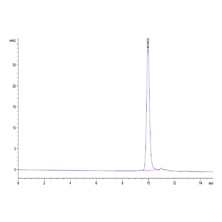 SEC-HPLC - Recombinant Human IL-1 beta Protein (Biotin) (C-terminal His and Avi Tag) (A330798) - Antibodies.com
